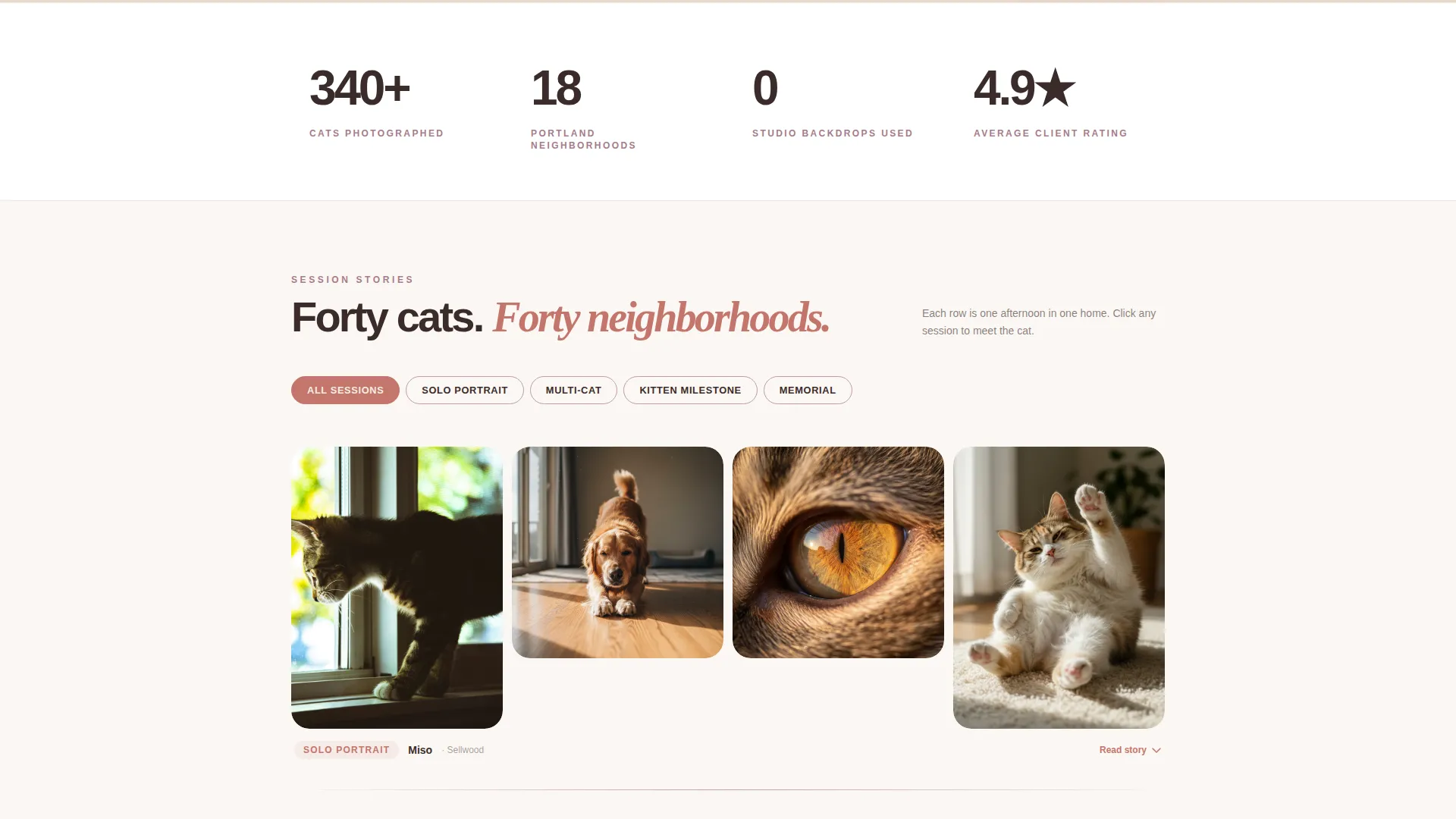 Cat Advanced Booking Website Template