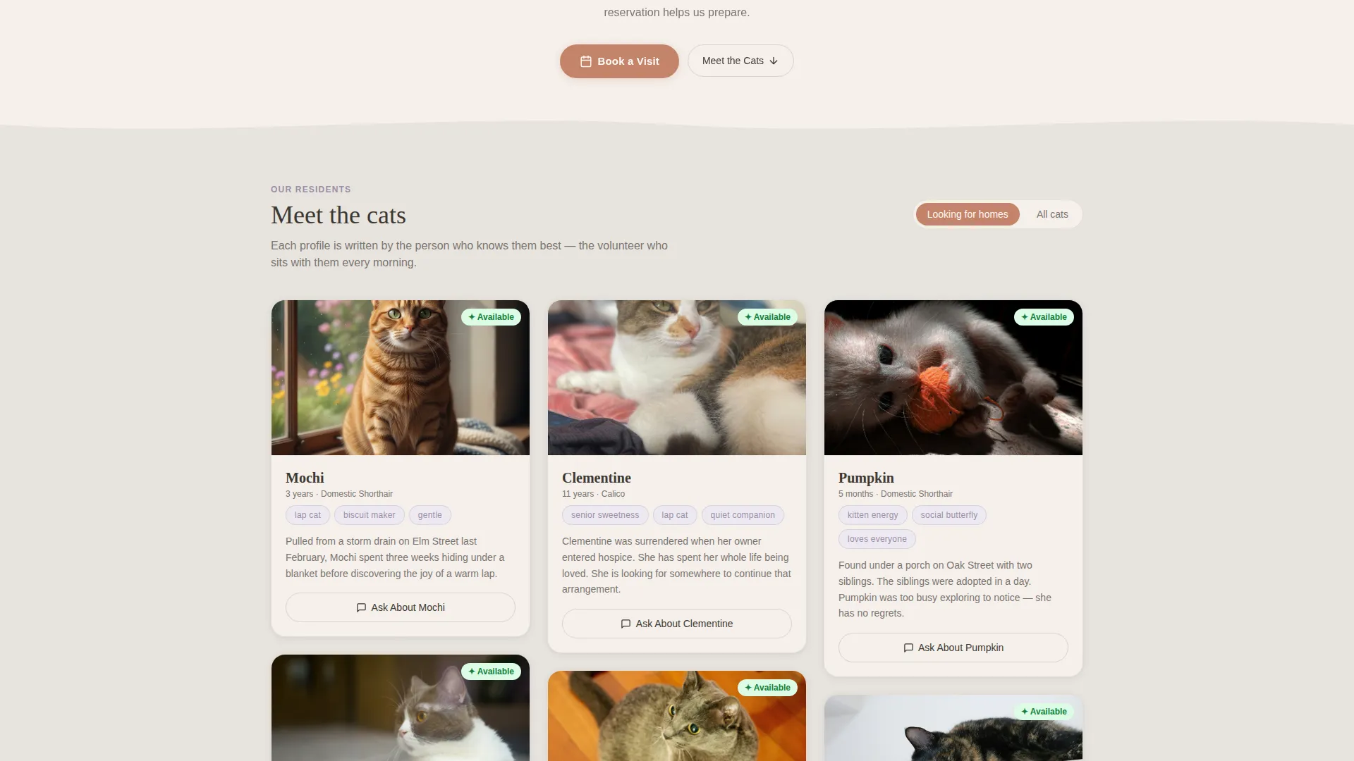 Cat Rescue Landing Page Template | Warm Artisan