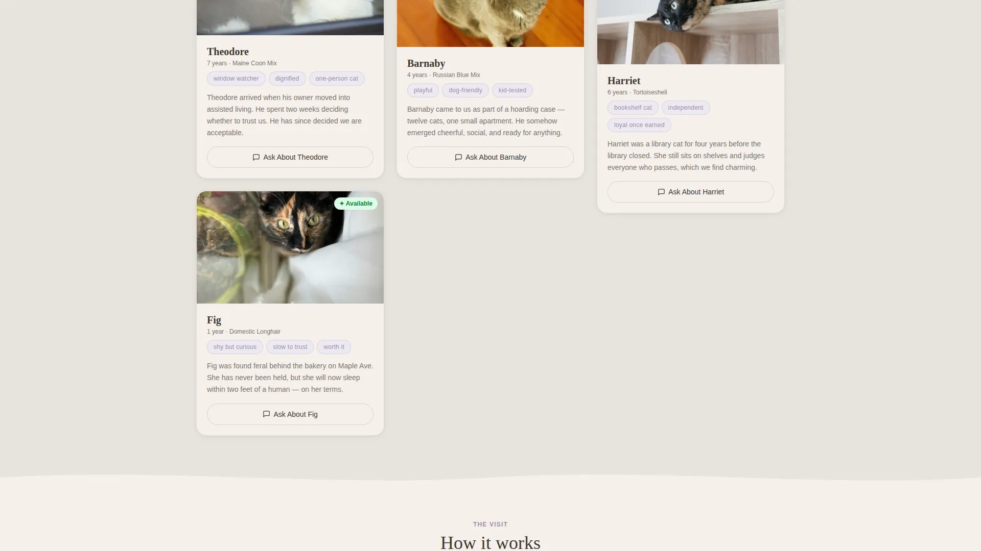 Cat Rescue Landing Page Template | Warm Artisan