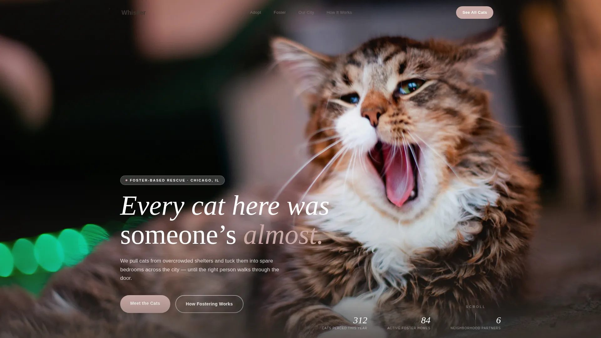 Cat Rescue & Adoption Landing Page Template