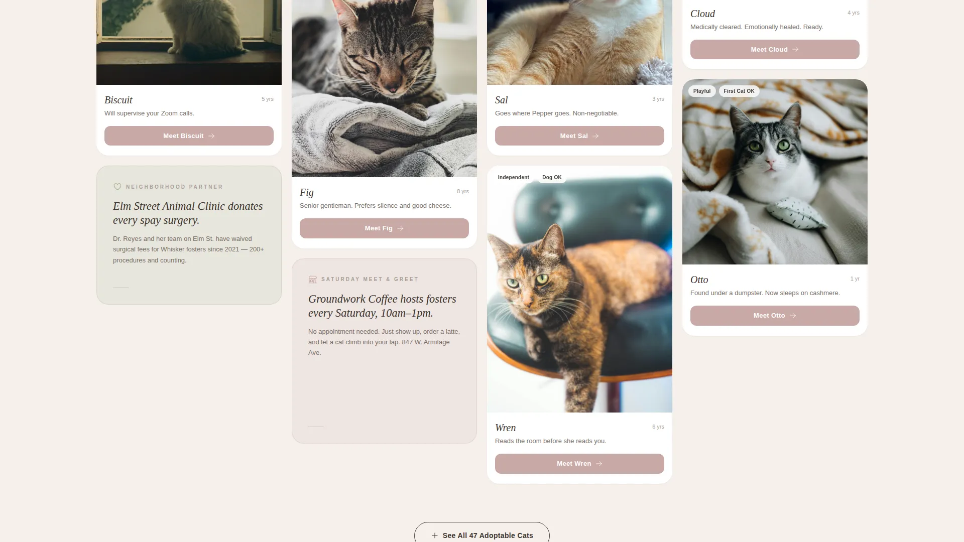 Cat Rescue & Adoption Landing Page Template