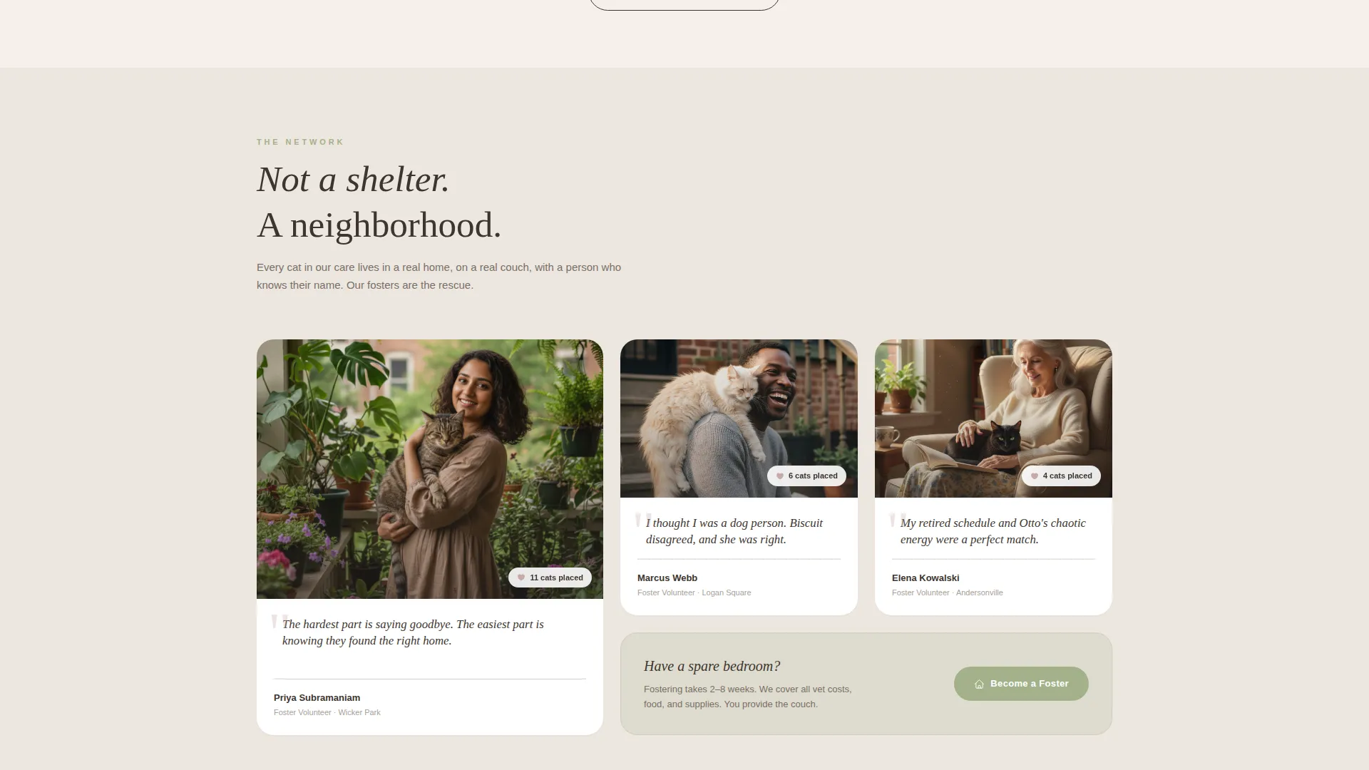 Cat Rescue & Adoption Landing Page Template