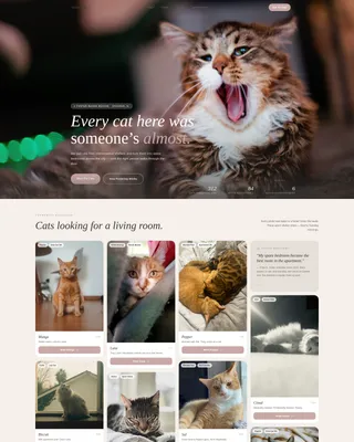 Cat Rescue & Adoption Landing Page Template