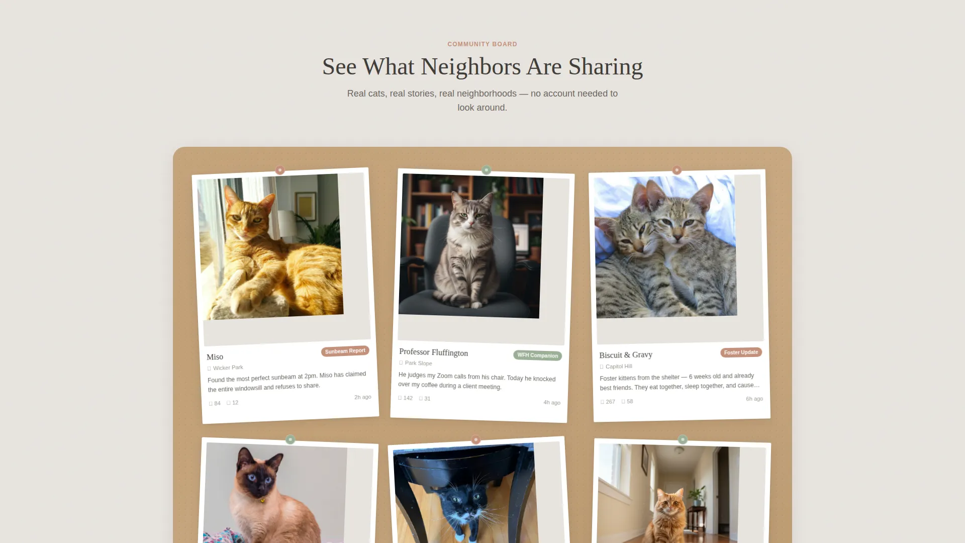 Cozy Cat Community Landing Page Template