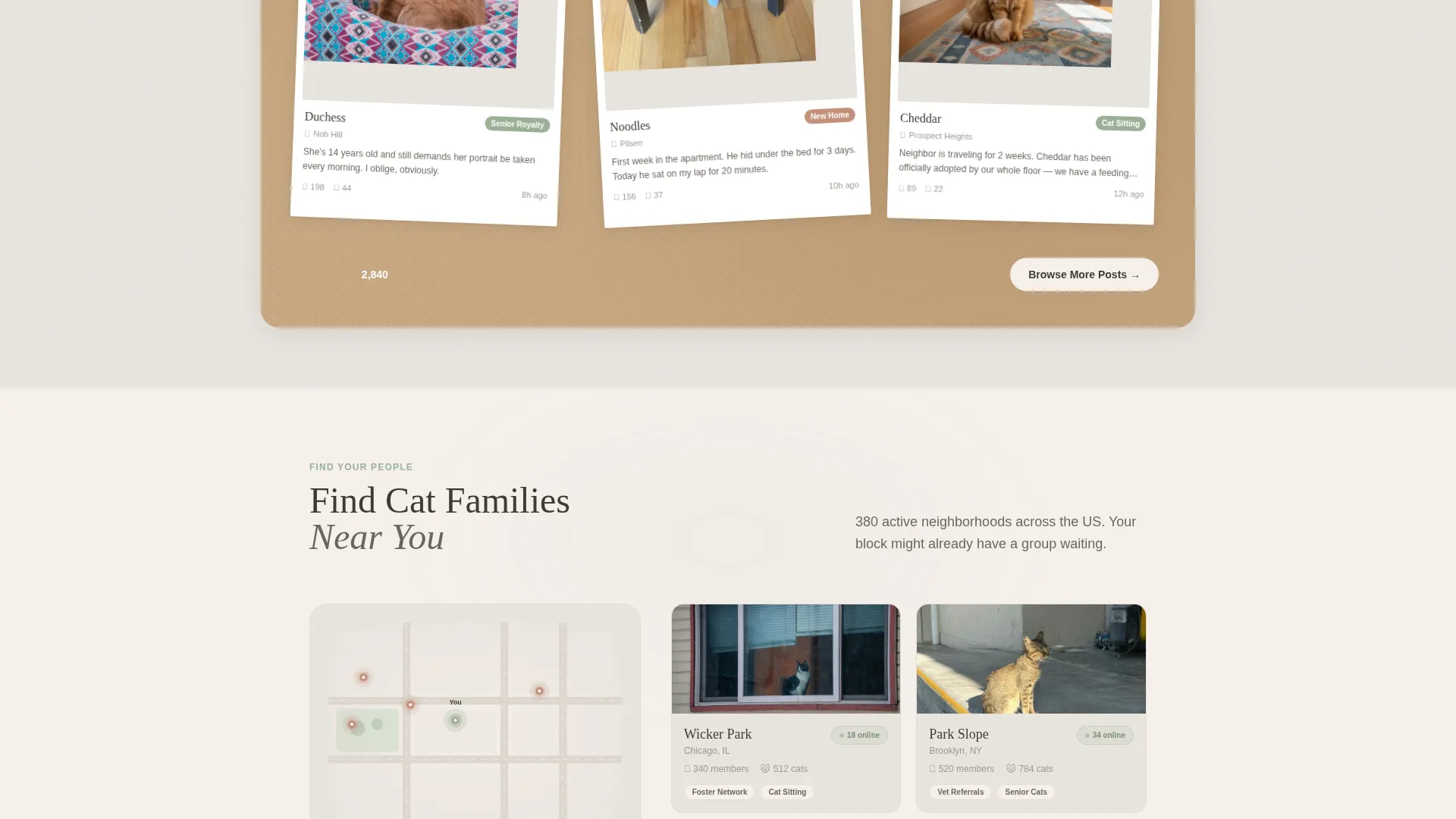 Cozy Cat Community Landing Page Template