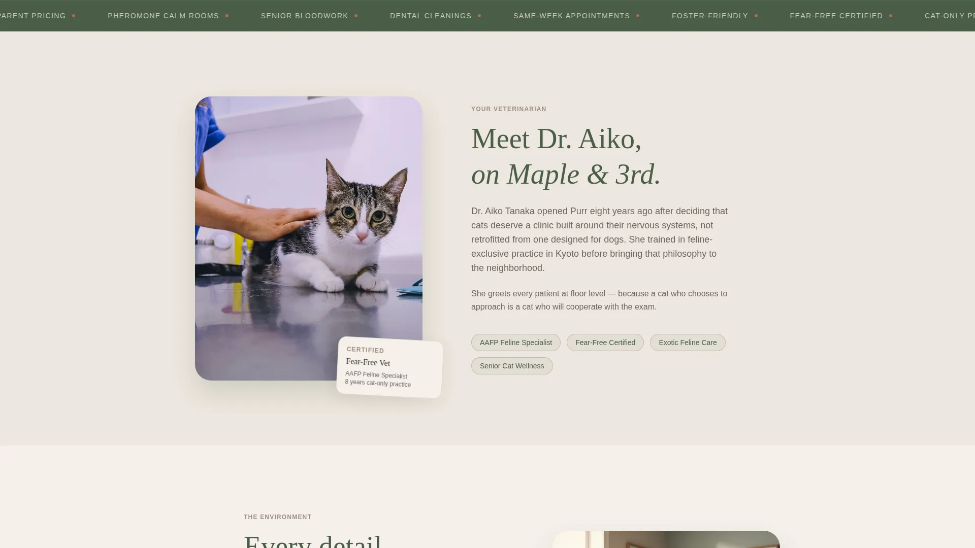 Cat-Only Veterinary Clinic Landing Page Template