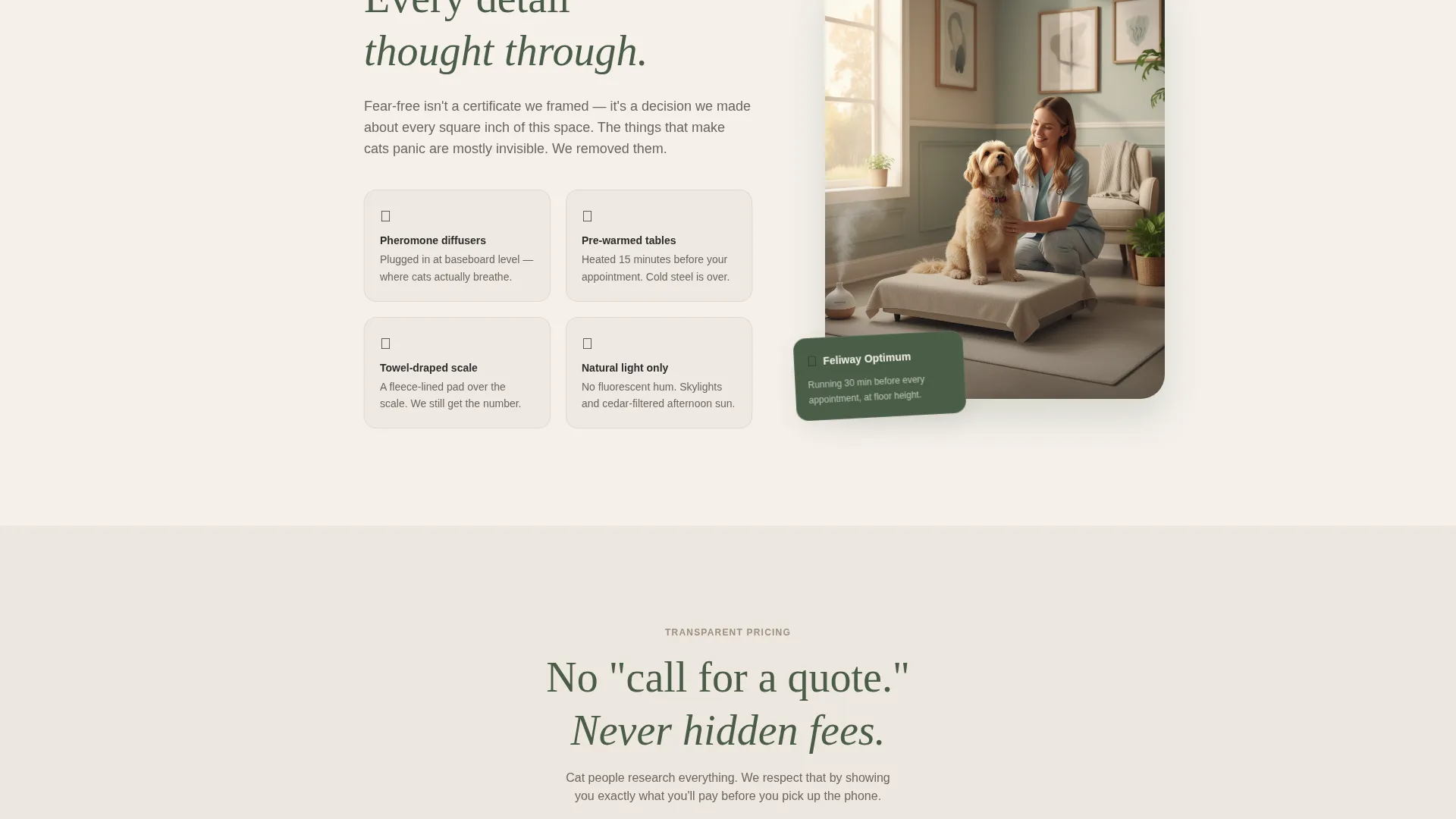 Cat-Only Veterinary Clinic Landing Page Template