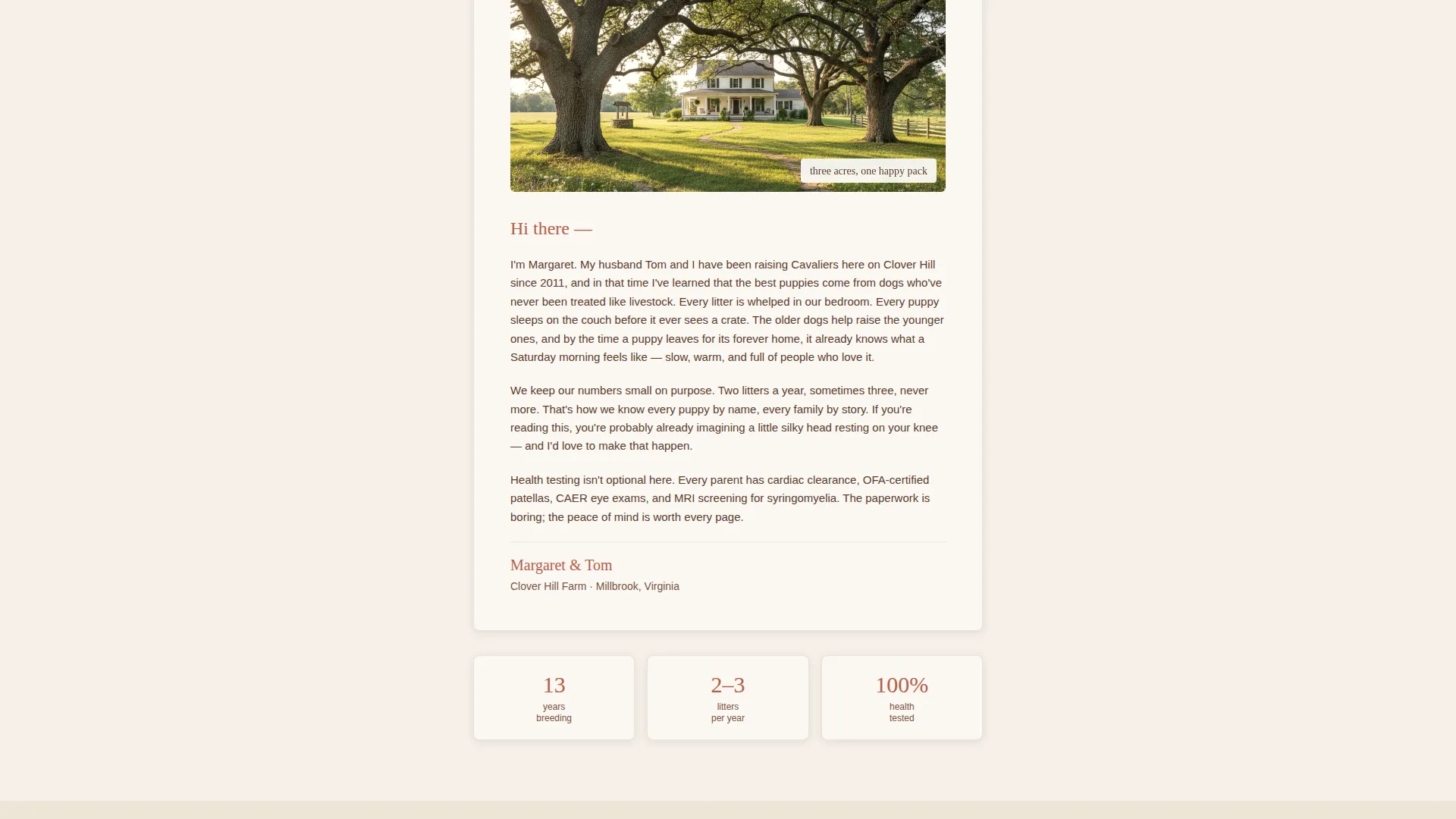Dog Professional Website Template