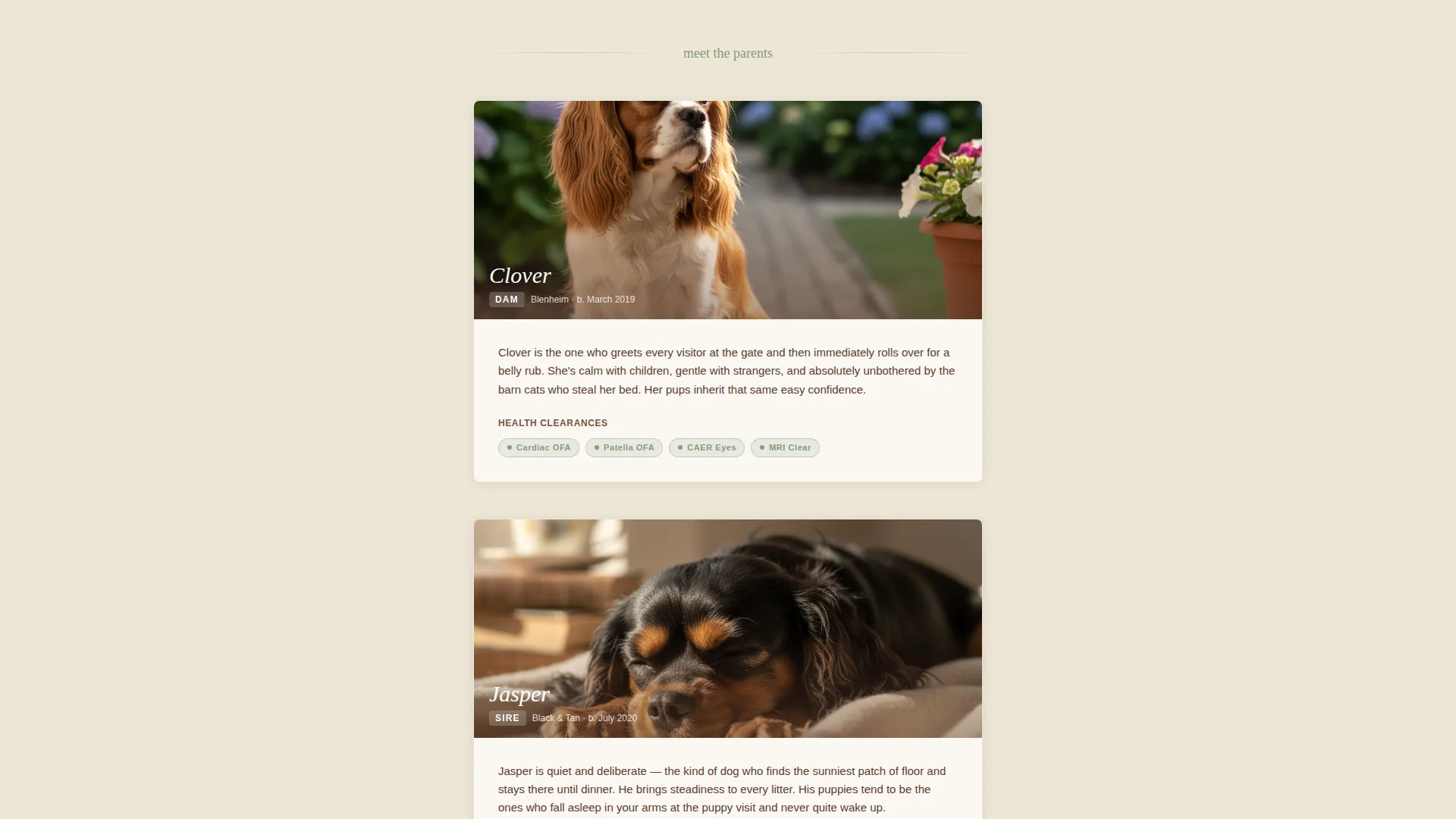 Dog Professional Website Template
