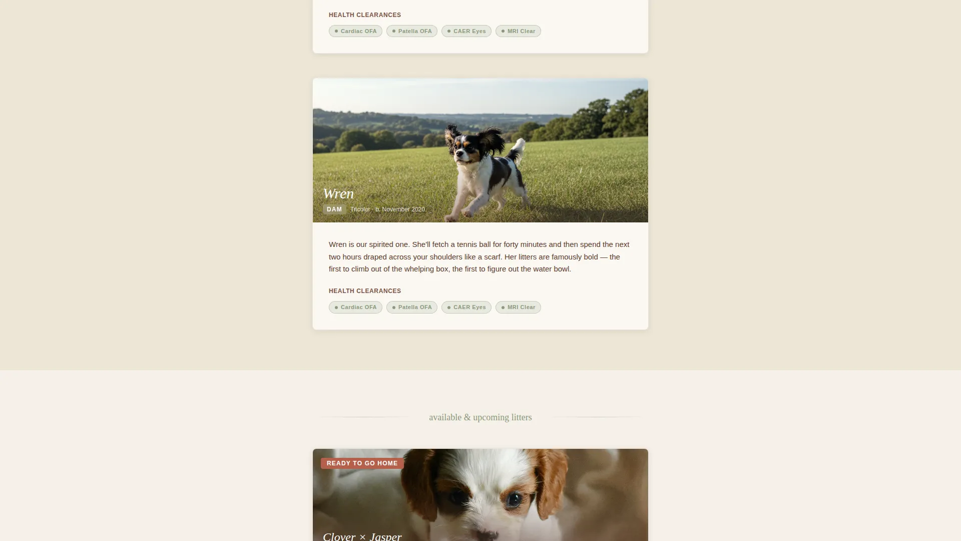 Dog Professional Website Template