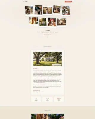Dog Professional Website Template