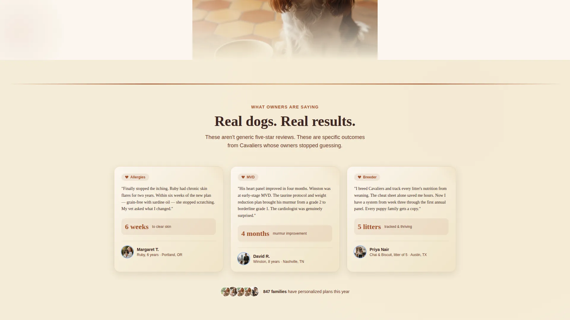 Dog Independent Booking Website Template