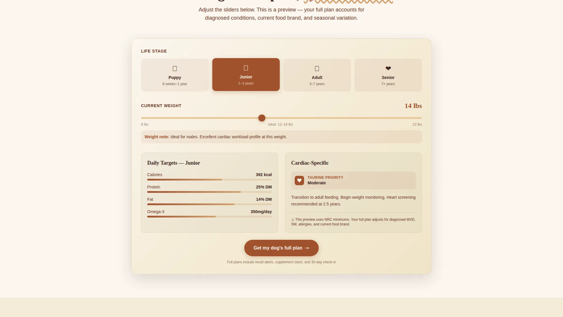 Dog Independent Booking Website Template
