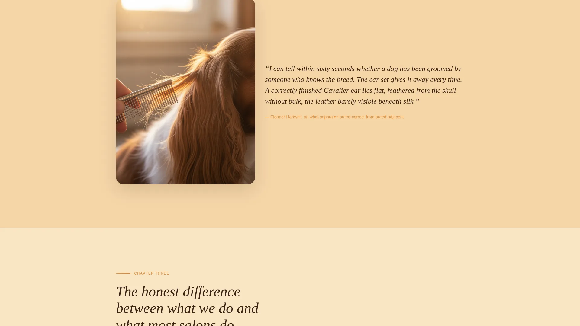 Dog Commercial Booking Website Template