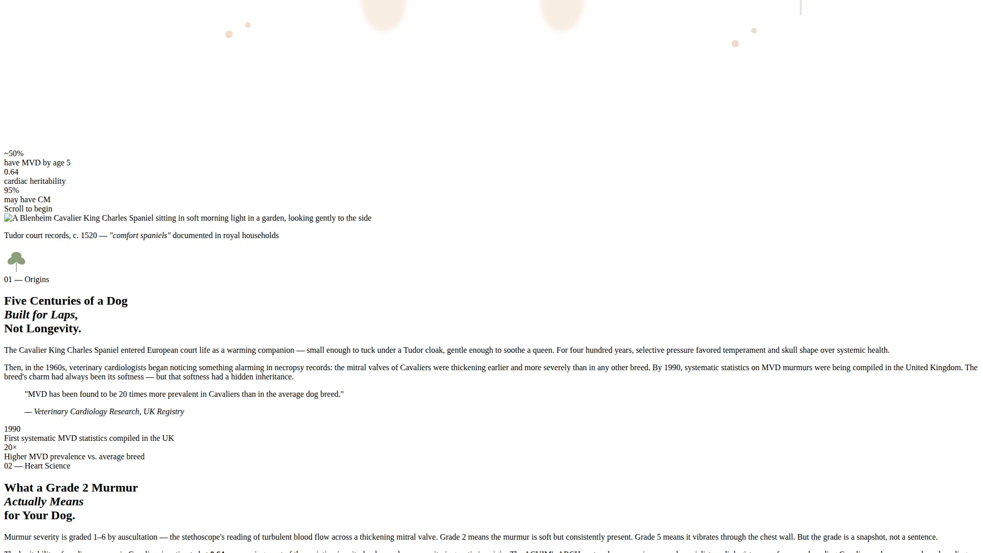 Dog Advanced Blog Website Template
