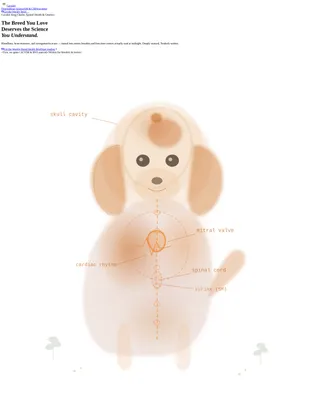 Dog Advanced Blog Website Template