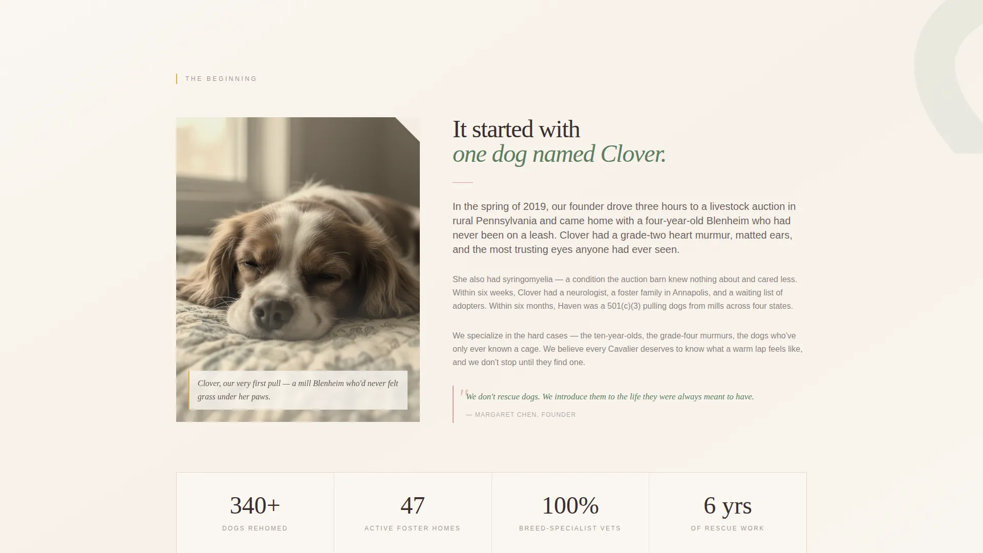 Dog Residential Professional Website Template
