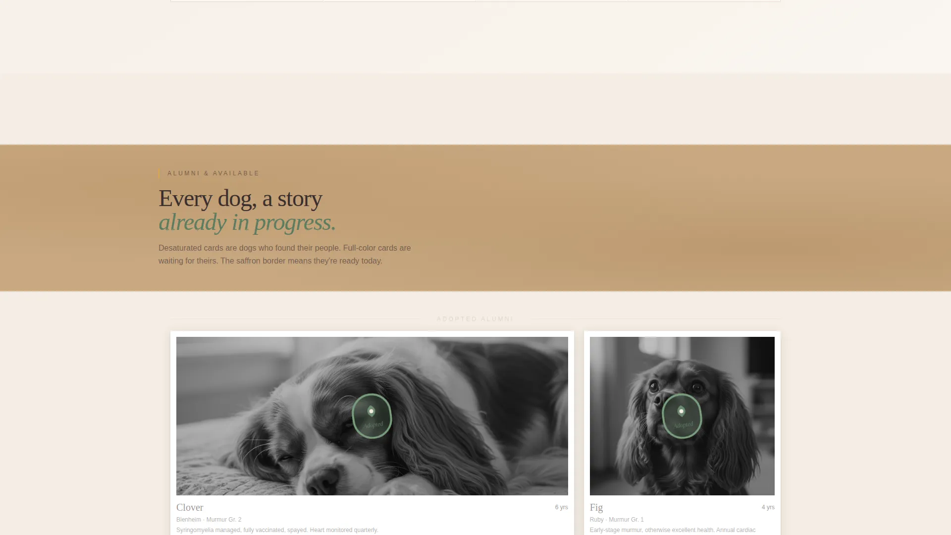 Dog Residential Professional Website Template