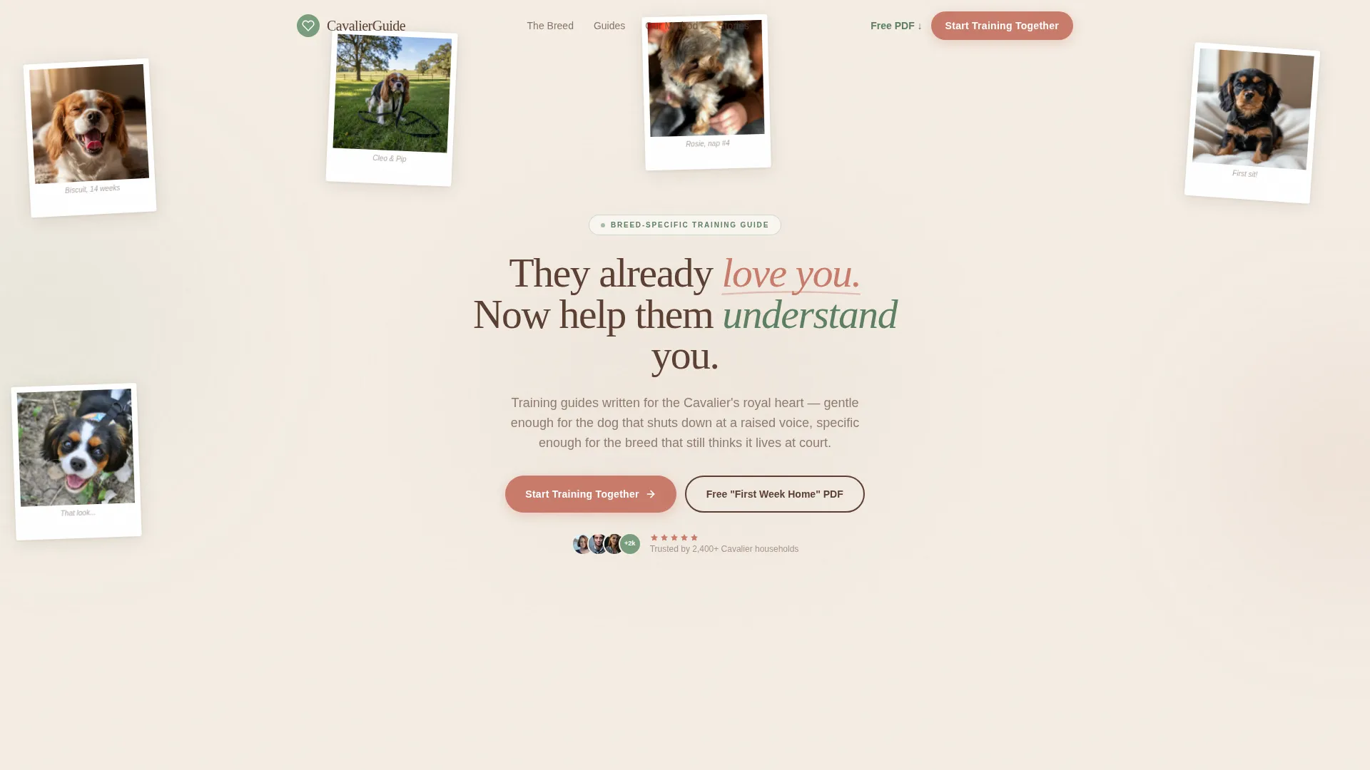 Dog Professional Website Template