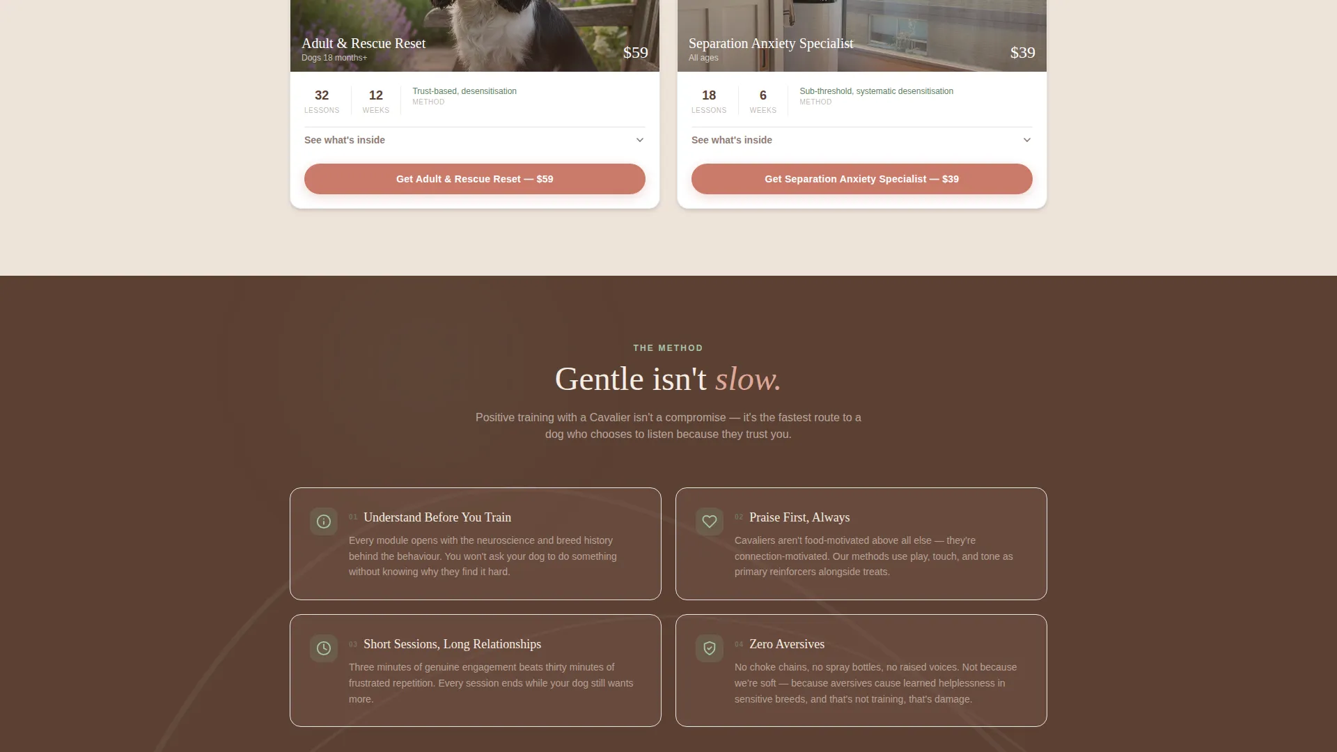 Dog Professional Website Template