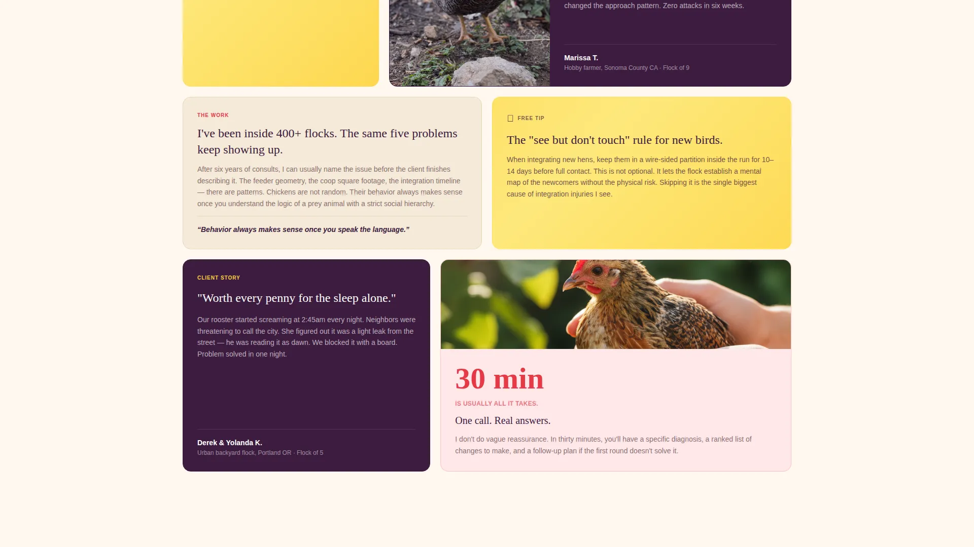Chicken & Poultry Booking Website Template
