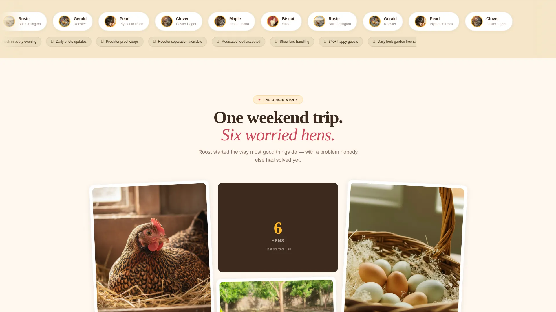 Chicken & Poultry Boarding Landing Page Template