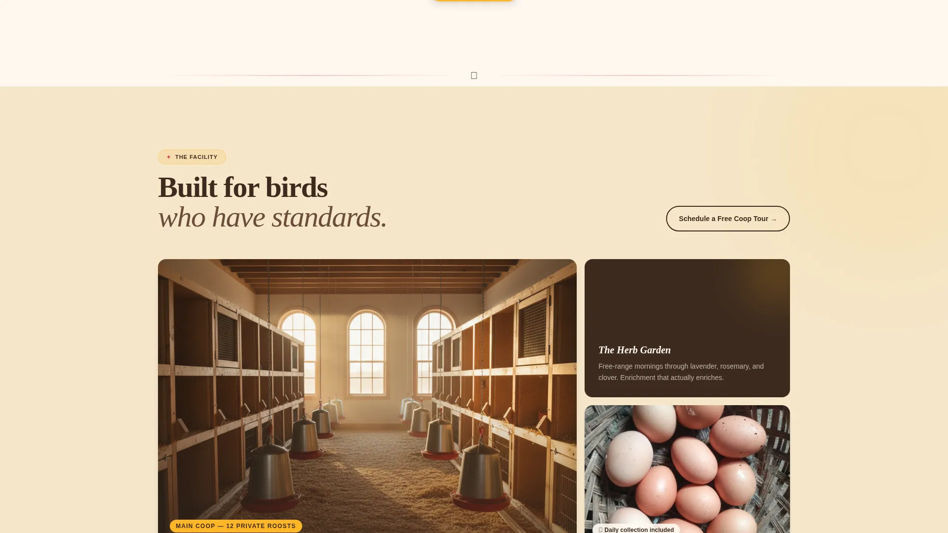Chicken & Poultry Boarding Landing Page Template