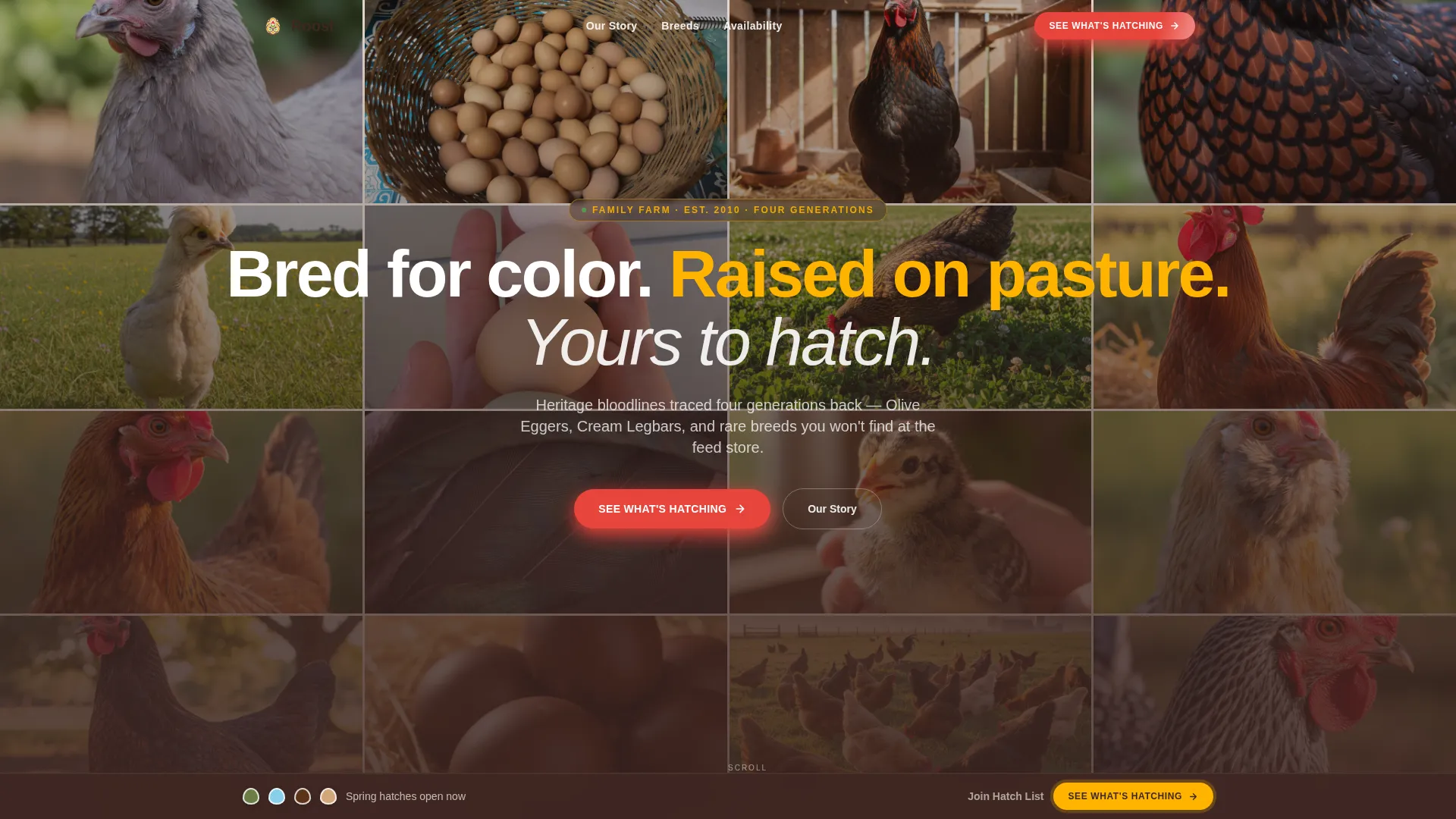 Chicken & Poultry Professional Website Template