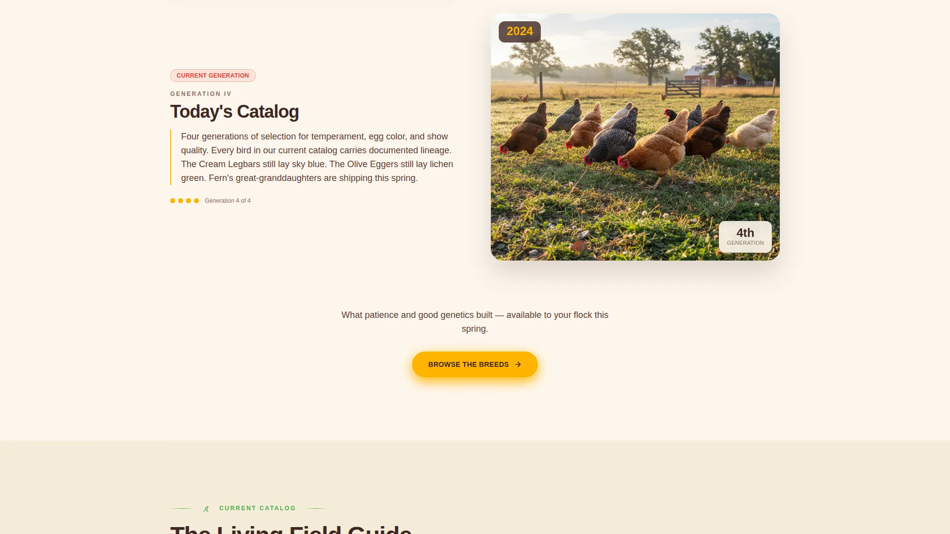 Chicken & Poultry Professional Website Template
