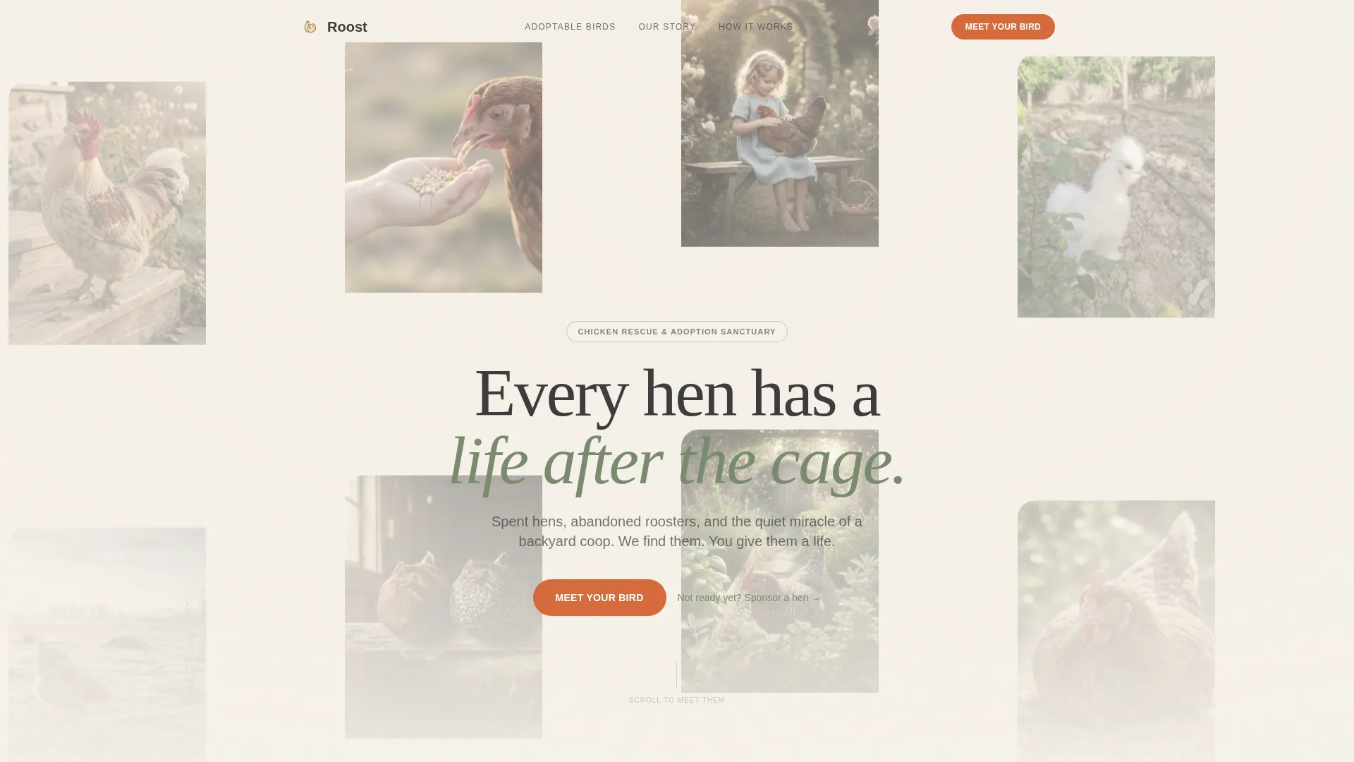Chicken & Poultry Specialist Professional Website Template