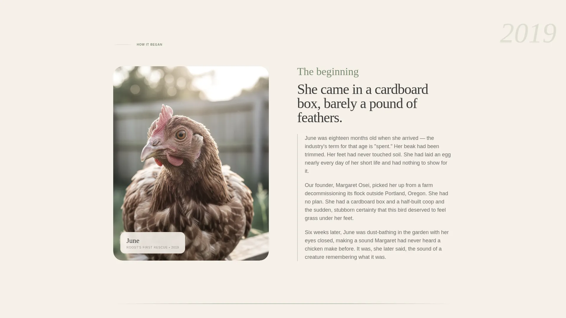 Chicken & Poultry Specialist Professional Website Template