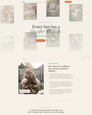 Chicken & Poultry Specialist Professional Website Template