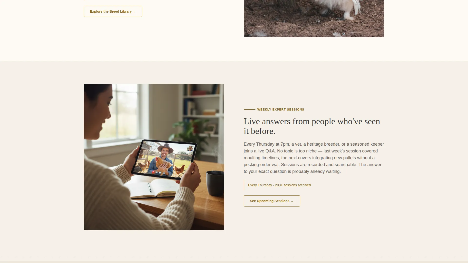 Backyard Chicken Community Landing Page Template