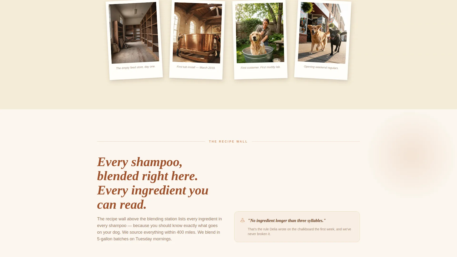 Pet Grooming & Spa Booking Website Template