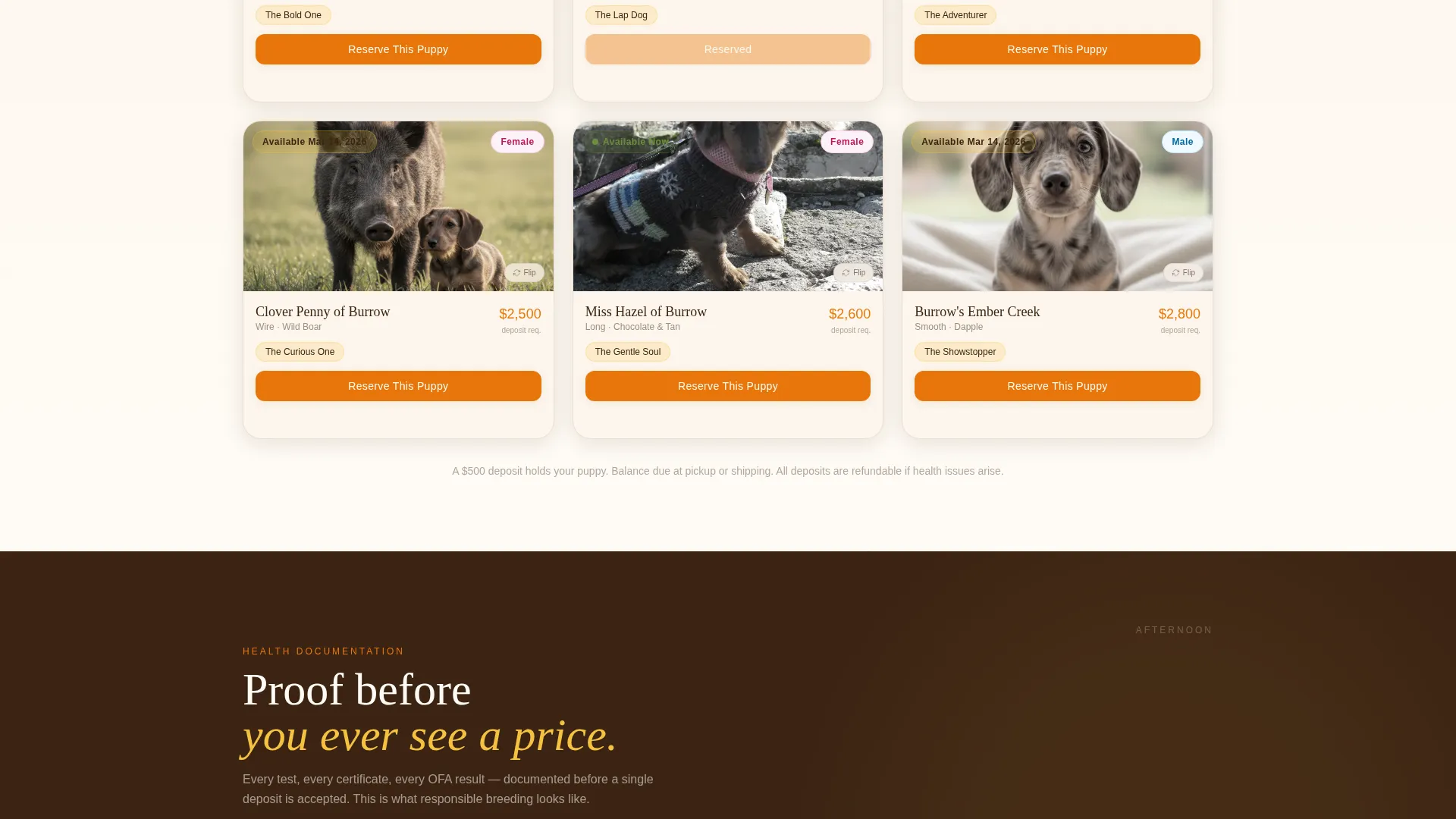 Dog Booking Website Template