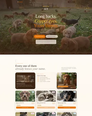 Dog Booking Website Template