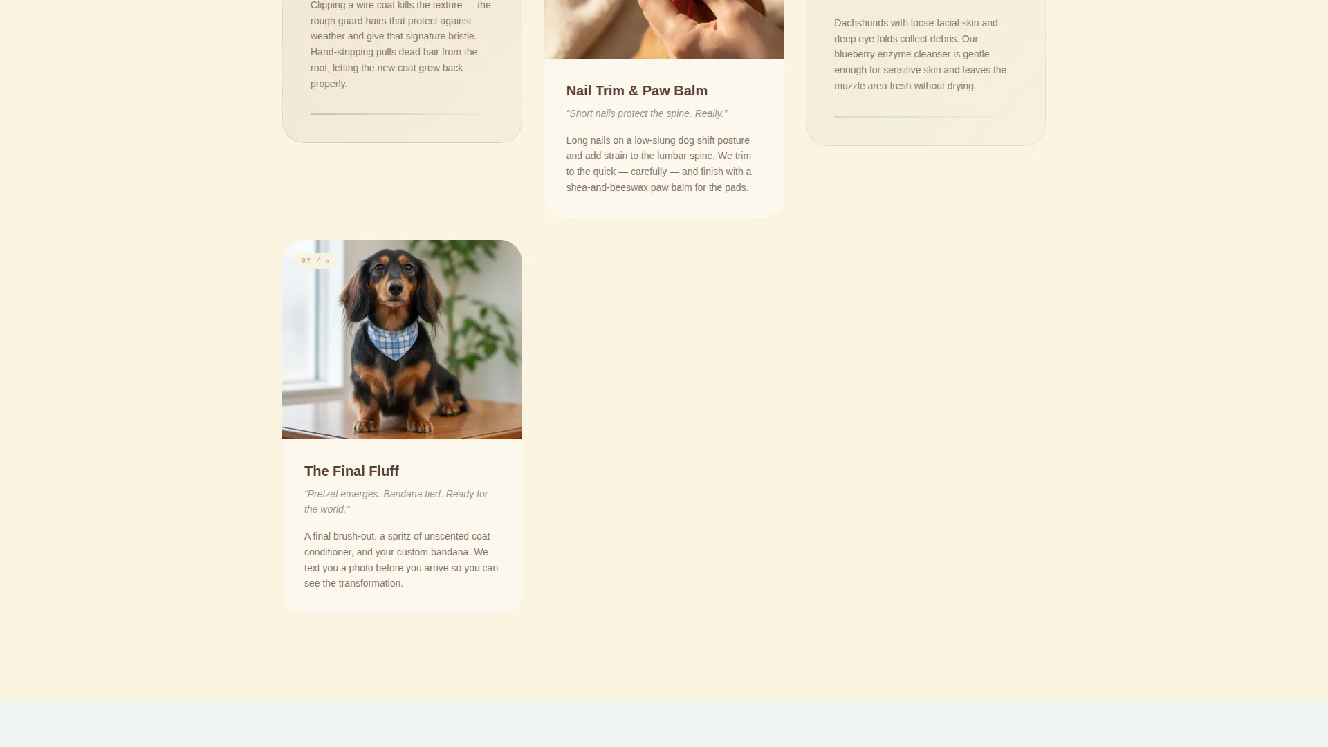 Dog Booking Website Template