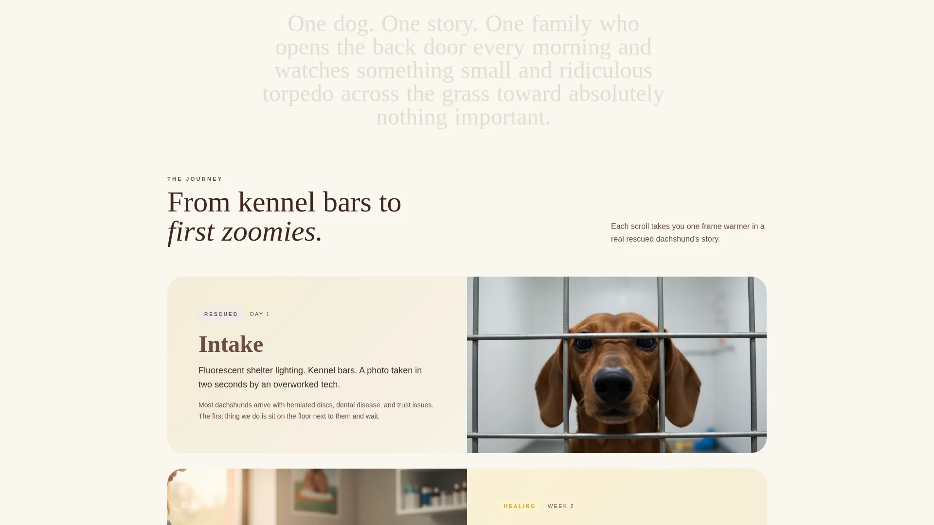 Dog Professional Website Template