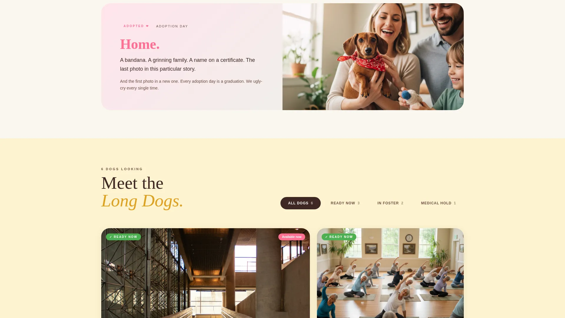 Dog Professional Website Template