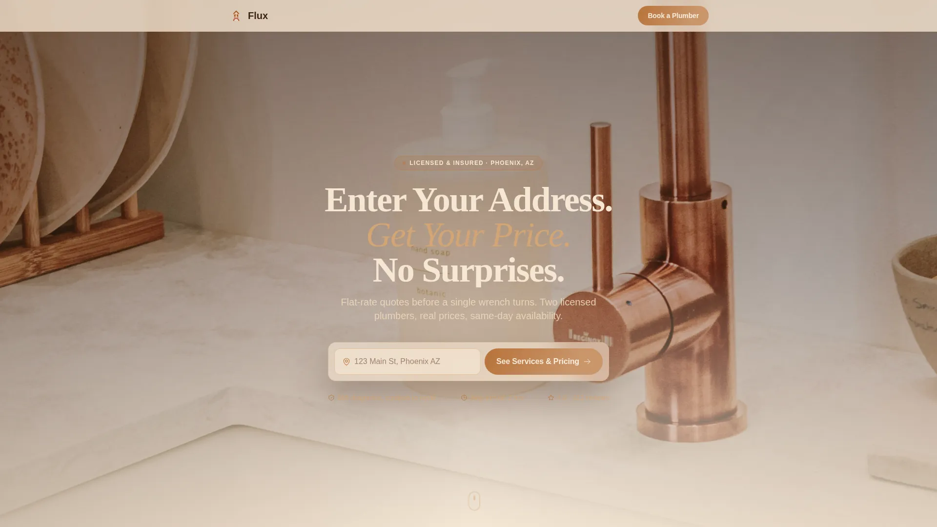 Transparent Plumbing Landing Page Template