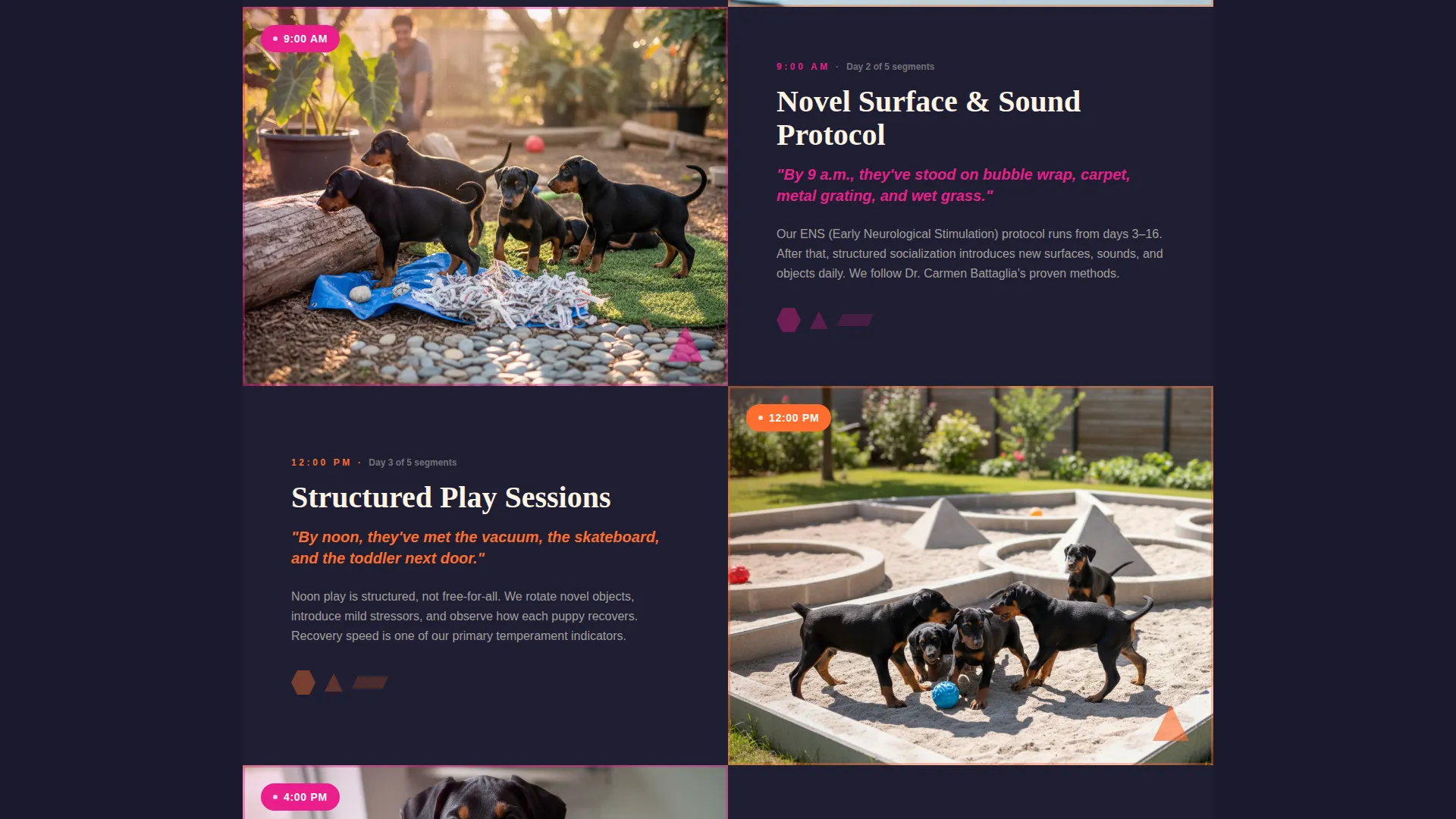 Doberman Booking Website Template