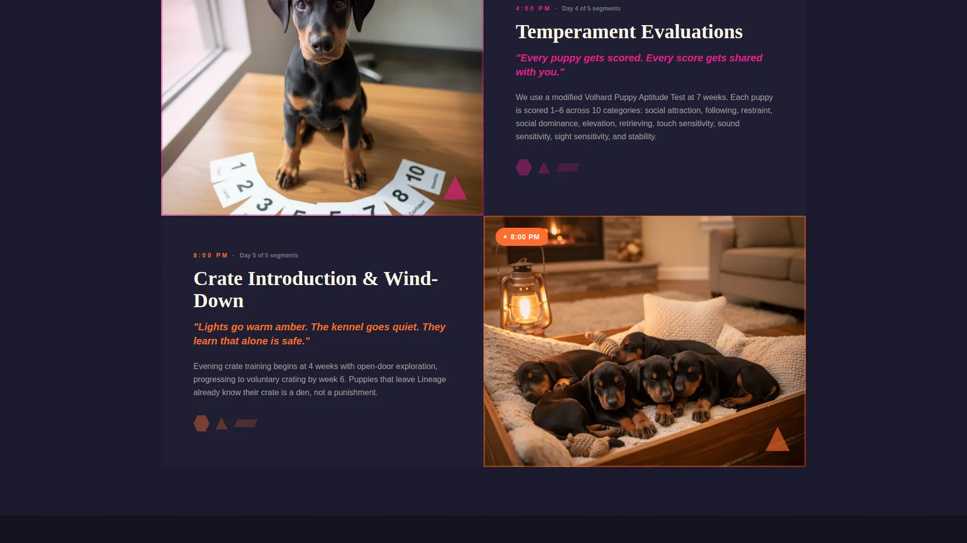Doberman Booking Website Template
