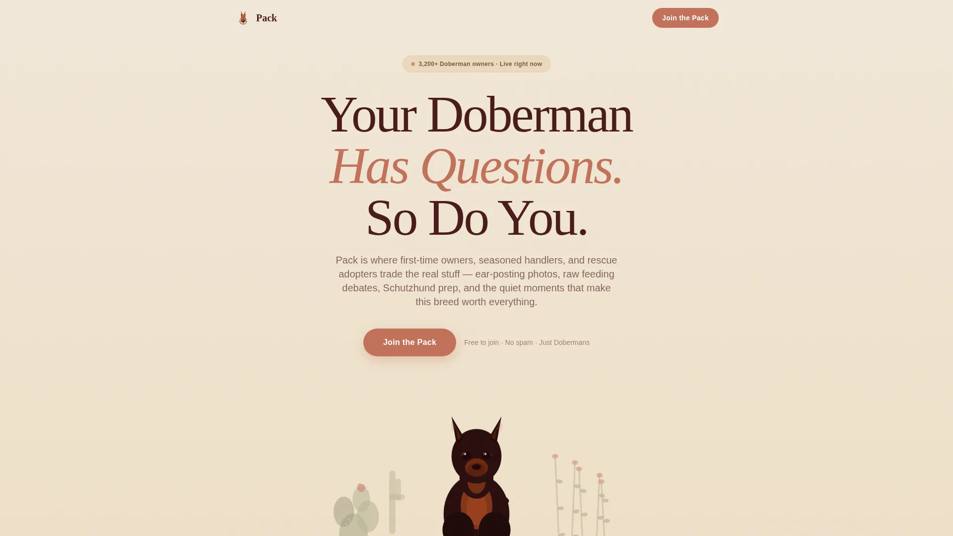 Doberman Professional Website Template