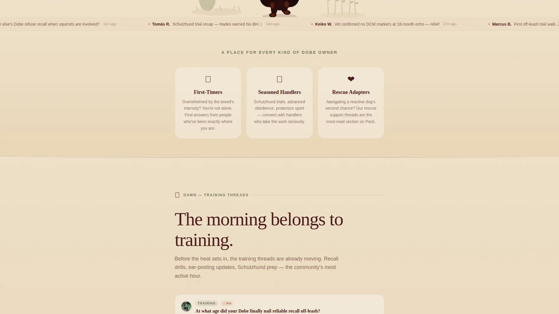 Doberman Professional Website Template