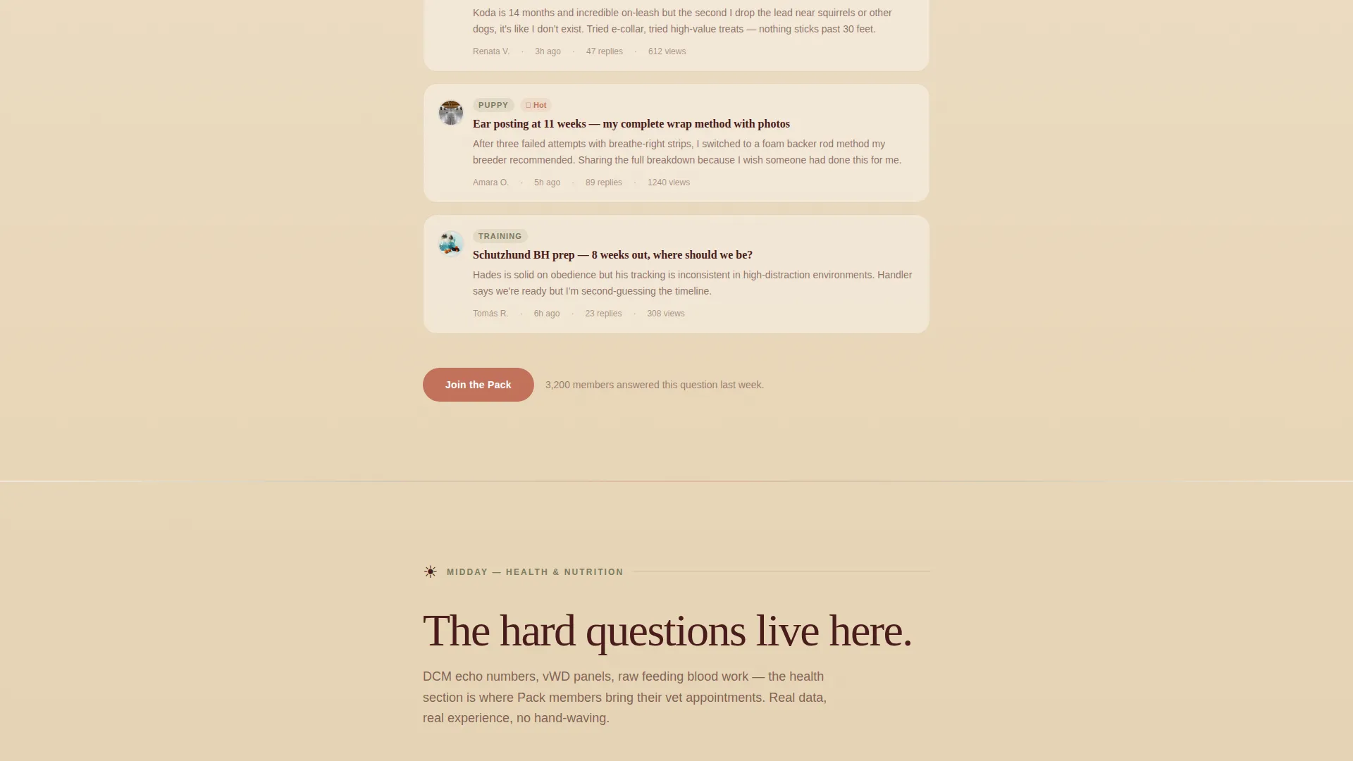 Doberman Professional Website Template