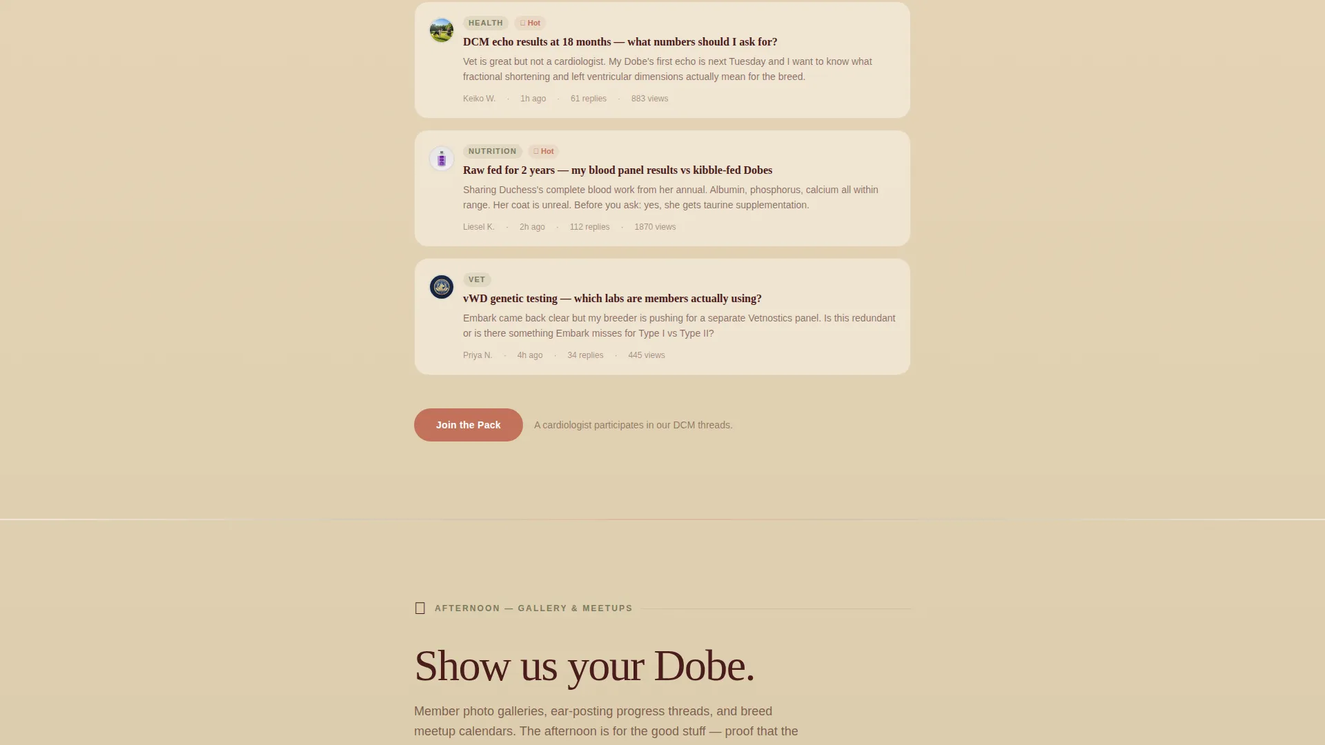 Doberman Professional Website Template