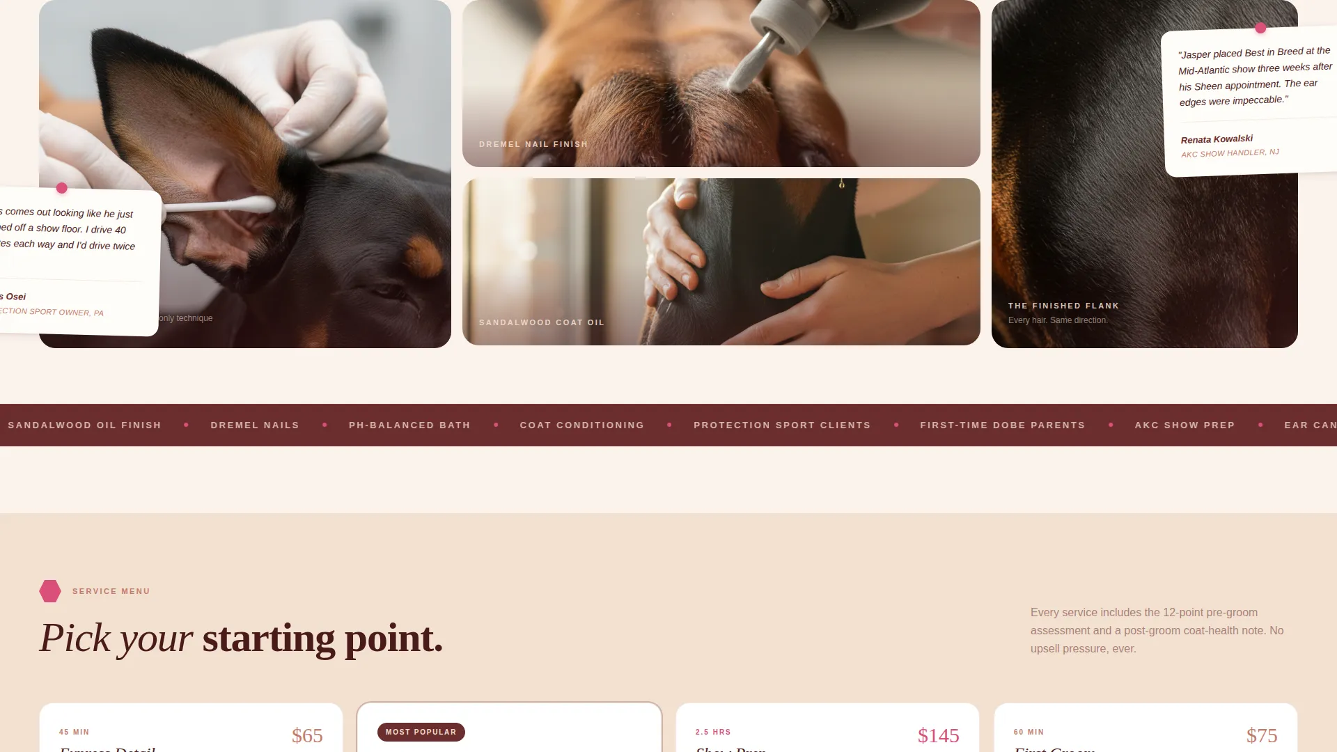 Doberman Specialist Booking Website Template