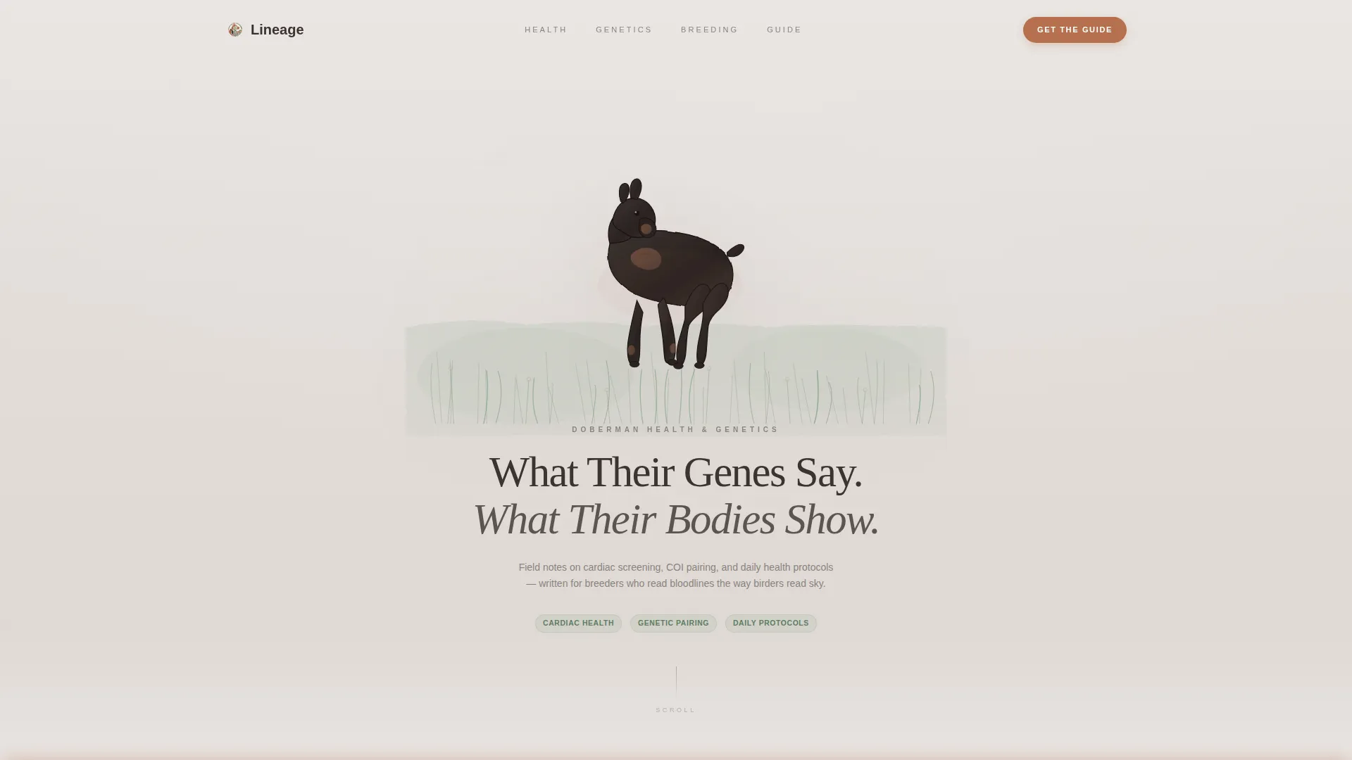 Doberman Services Blog & Content Website Template