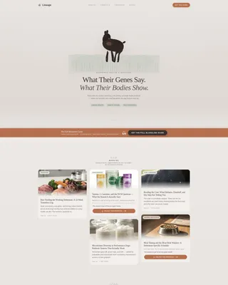 Doberman Services Blog & Content Website Template