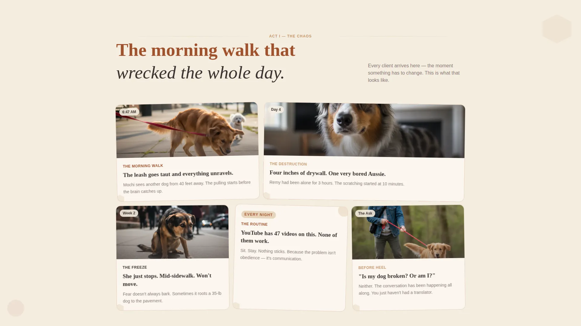 Dog Pricing Website Template